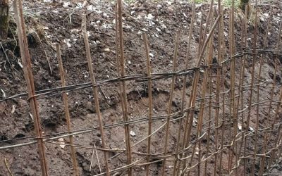 Haťování: Pozapomenuté řemeslo, které se pomalu vrací zpět do naší krajiny